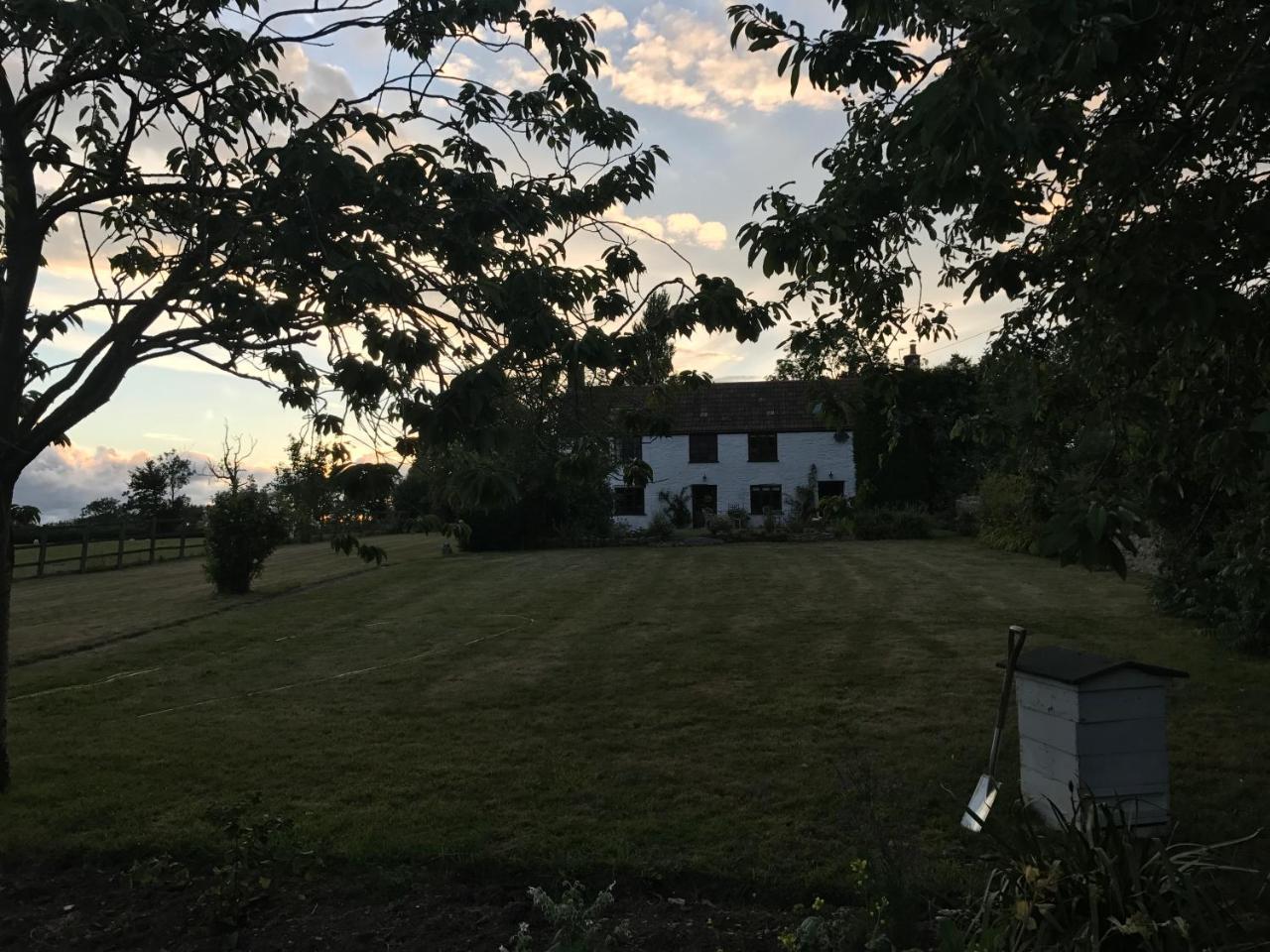 مبيت وإفطار Wedmore Mount Pleasant Farm المظهر الخارجي الصورة